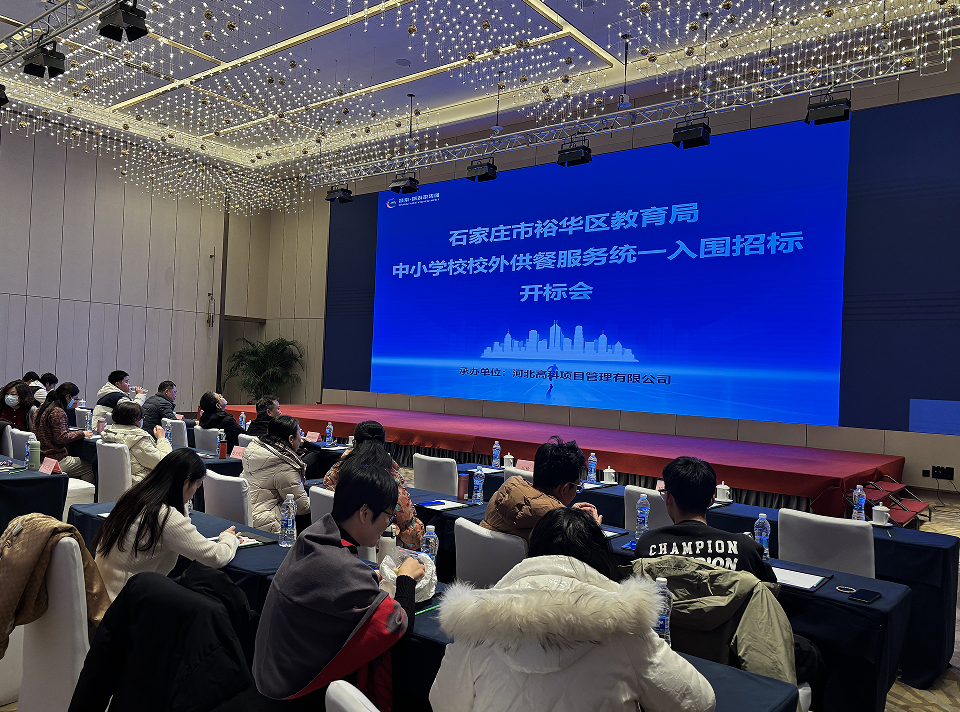 招标代理、造价咨询服务