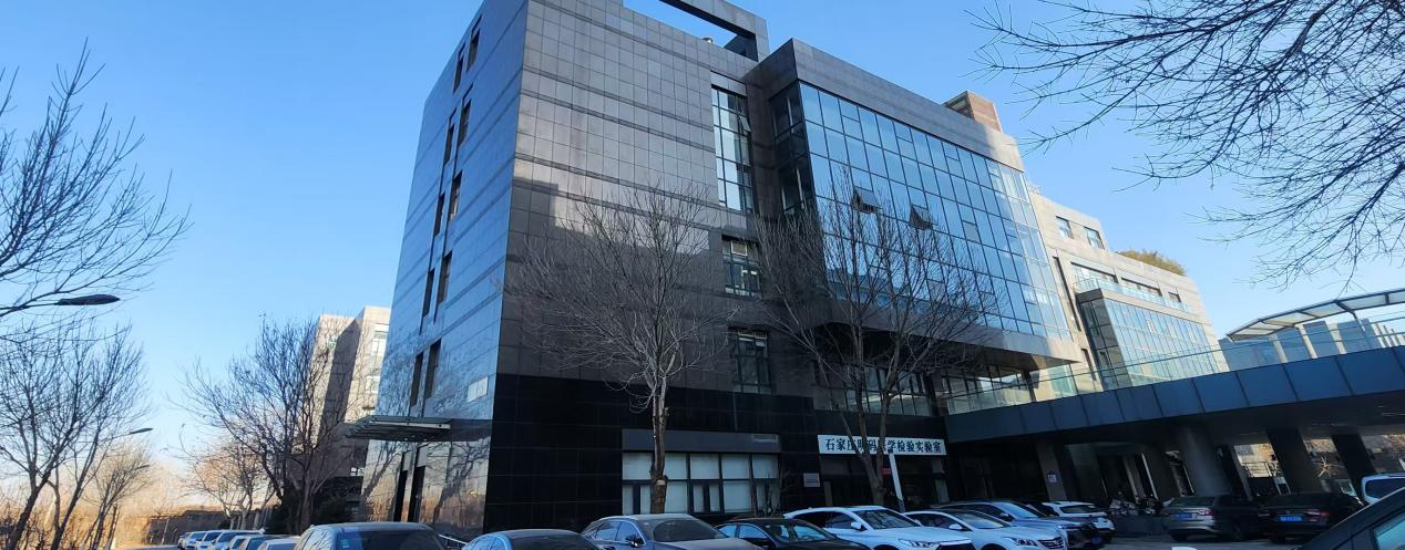 1738912246927087.png 润江国际3.png